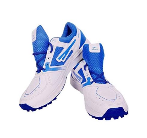 sega sport shoes