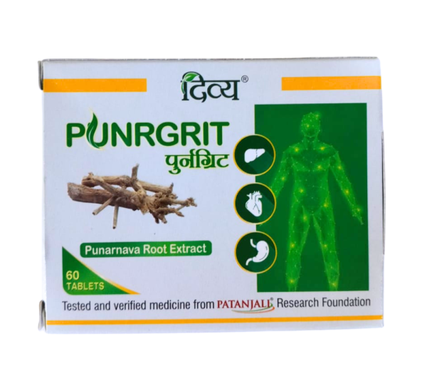 Patanjali Divya Punrgrit_cover